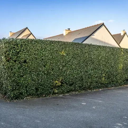 aménagement extérieur Beaussais-sur-Mer-5