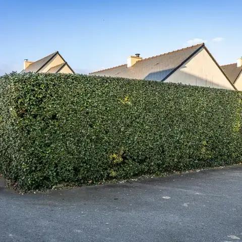 aménagement extérieur Plouër-sur-Rance-5