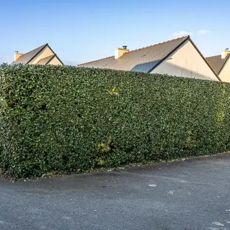 aménagement extérieur Saint-Briac-sur-Mer-1