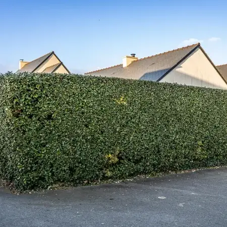 aménagement extérieur Saint-Lunaire-5