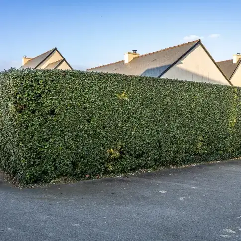 pose de clôture à Plouër-sur-Rance - image 3