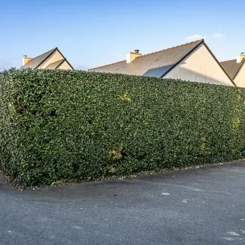 pose de clôture à Saint-Briac-sur-Mer - image 2