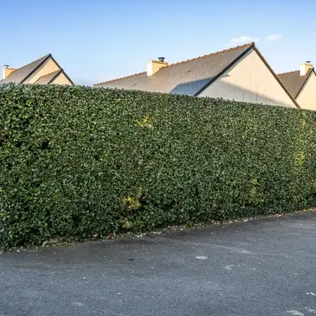 pose de clôture à Saint-Lunaire - image 3
