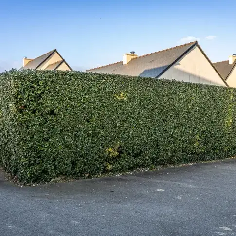 terrassement Beaussais-sur-Mer-1