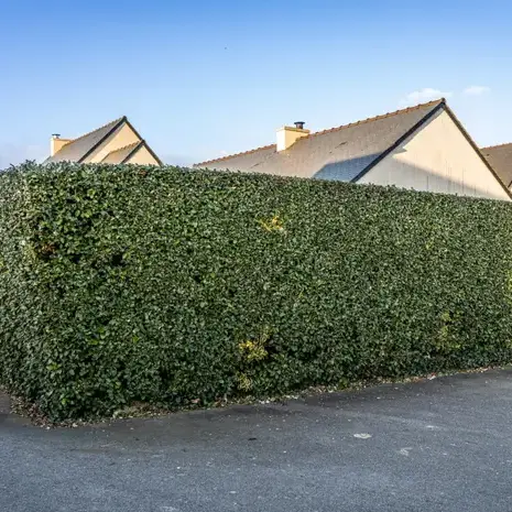 terrassement Dinard-5