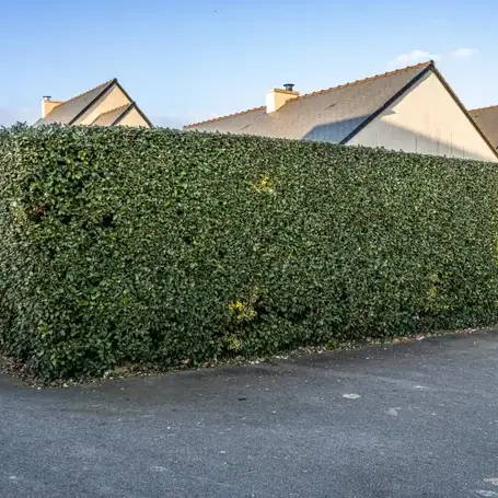 terrassement à Pleslin-Trigavou - image 4