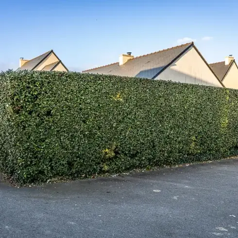 terrassement à Plouër-sur-Rance - image 4