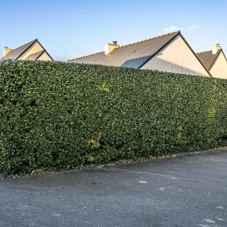 terrassement à Saint-Briac-sur-Mer - image 4