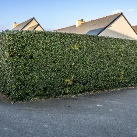 terrassement à Saint-Lunaire - image 3