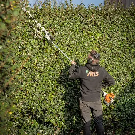 terrassement à Saint-Lunaire - image 4