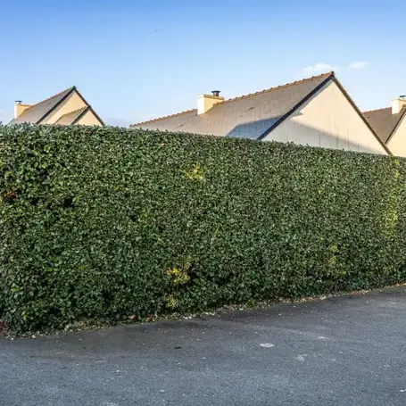 terrassement à Saint-Malo - image 4